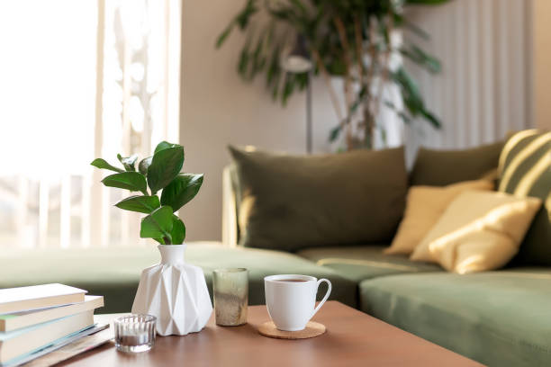 coffee table with plant and books